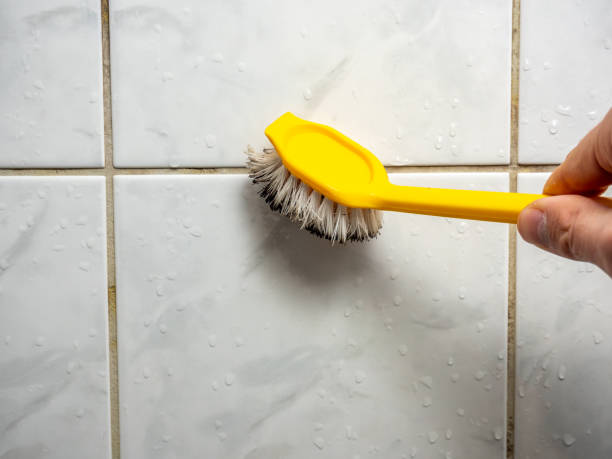 Best Toxic Mold Removal  in Metairie, LA