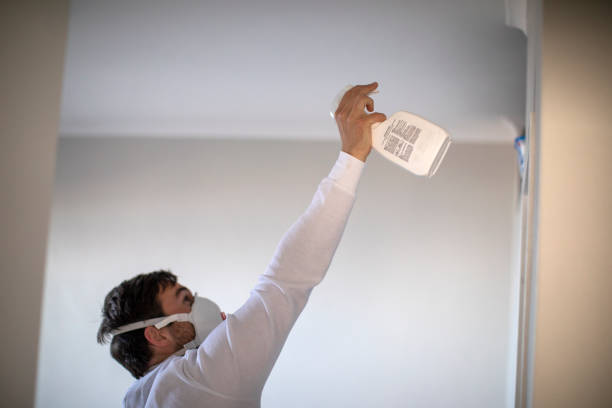 Best Certified Mold Removal  in Metairie, LA
