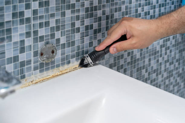 Best Same-Day Mold Removal  in Metairie, LA