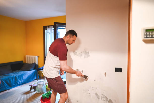 Best Mold Remediation  in Metairie, LA